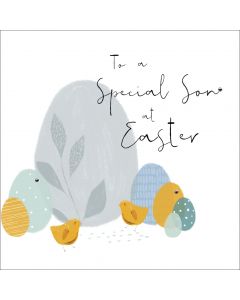 To a special Son at Easter