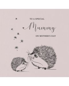 To a special Mummy on Mother's Dayay
